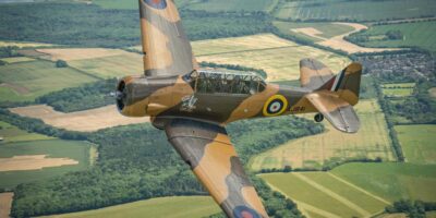 'Wacky Wabbit' Harvard